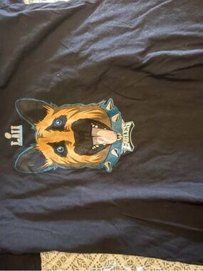 Women’s Eagles Underdog shirt
